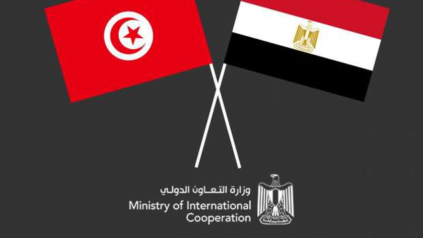 انطلاق تحضيرات اللجنة العليا المصرية التونسية المشتركة بتونس - اقتصاد -  الوطن